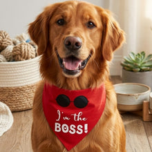 Load image into Gallery viewer, Dog Bandana: I'm The Boss Bandana for Dogs (Red)