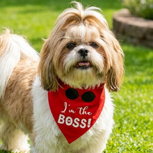 Load image into Gallery viewer, Dog Bandana: I'm The Boss Bandana for Dogs (Red)