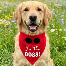 Load image into Gallery viewer, Dog Bandana: I'm The Boss Bandana for Dogs (Red)
