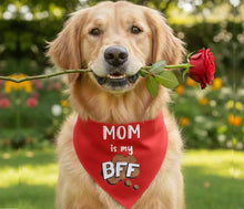 Load image into Gallery viewer, Dog Bandana: Mom is my BFF Bandana for Pets (Red)