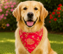 Load image into Gallery viewer, Traditional Dog Bandana: Ethnic Dog Bandana with Embroidery for Diwali, Weddings and Festivals