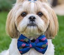 Load image into Gallery viewer, Pineapple Summer Bow Tie for Dogs and Cats