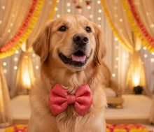 Load image into Gallery viewer, Wedding and Diwali Dog Bow: Traditional Banarasi Bow Tie for Pets (Pink Flower)
