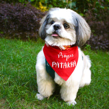 Load image into Gallery viewer, Dog Bandana: Proper Patakha Diwali Bandana for Pets