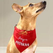 Load image into Gallery viewer, Dog Bandana: Proper Patakha Diwali Bandana for Pets