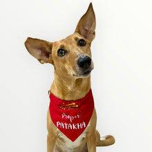 Load image into Gallery viewer, Dog Bandana: Proper Patakha Diwali Bandana for Pets