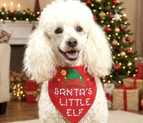 Santa's Little Elf Dog Bandana for Christmas