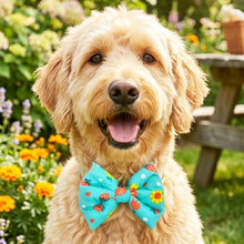 Load image into Gallery viewer, Bow Tie for Dogs: Gardenia Summer Dog Bow Tie