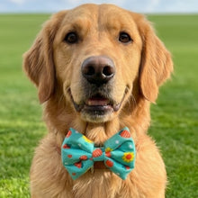 Load image into Gallery viewer, Bow Tie for Dogs: Gardenia Summer Dog Bow Tie
