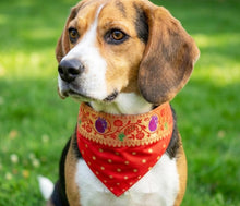 Load image into Gallery viewer, Traditional Dog Bandana with Paithani Inspired Woven Border: Best Pet Bandana for Weddings and Festivals (Red)