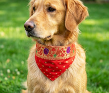 Load image into Gallery viewer, Traditional Dog Bandana with Paithani Inspired Woven Border: Best Pet Bandana for Weddings and Festivals (Red)