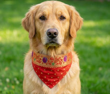 Load image into Gallery viewer, Traditional Dog Bandana with Paithani Inspired Woven Border: Best Pet Bandana for Weddings and Festivals (Red)