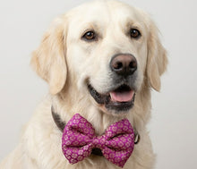 Load image into Gallery viewer, Bow Tie for Pets: Ethnic Wear Dog Bow Tie for Festivals, Weddings (Purple)
