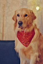 Load image into Gallery viewer, Dog Bandana: Festive Indian Wear (Red)