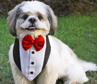 Tuxedo Bandana for Pets (with Velcro Strap)