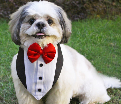 Tuxedo Bandana for Pets (with Velcro Strap)