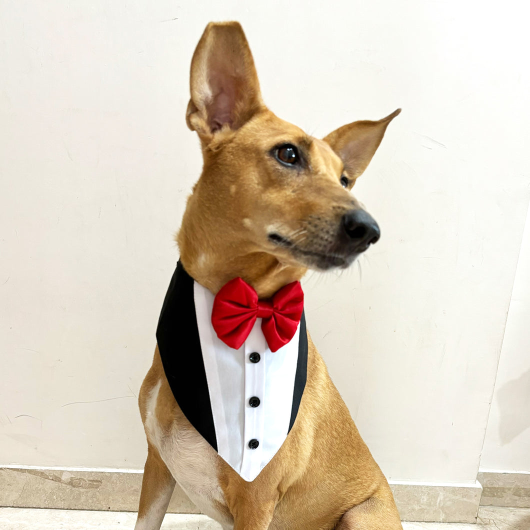 Tuxedo Bandana for Pets (with Velcro Strap)