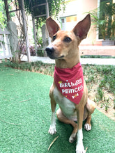 Load image into Gallery viewer, Dog Bandana: Birthday Girl Bandana for Pets