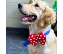 Load image into Gallery viewer, Bow Ties for Dogs: Red and White Polka Dot Fluffy Bow