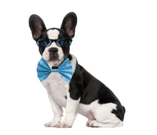 Load image into Gallery viewer, Bow Ties for Dogs: Blue Occasion Wear Bow Tie for Pets