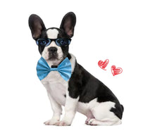 Load image into Gallery viewer, Bow Ties for Dogs: Blue Occasion Wear Bow Tie for Pets