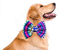 Load image into Gallery viewer, Bow Ties for Dogs: Occasion Wear Bow Tie for Pets (Multi-coloured)