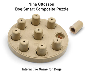 Outward Hound Nina Ottosson Dog Smart Composite Puzzle: Dog Interactive Game (Level 1)