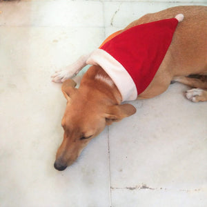 Christmas Dog Bandana: Winter Wear Santa Claus