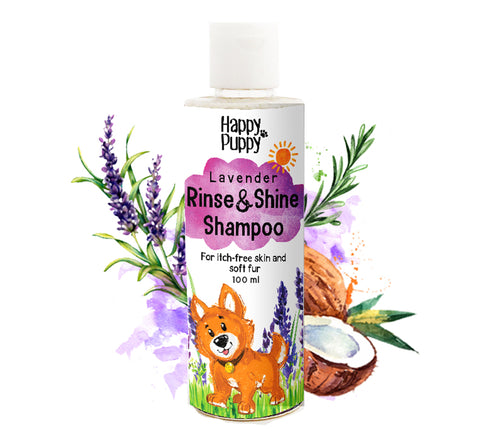 Dog Shampoo: Organic Rinse and Shine Shampoo