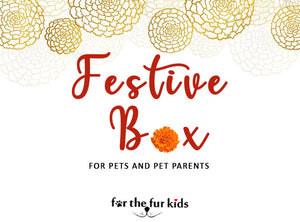 Festive Box: Assorted Dog Box by For The Fur Kids