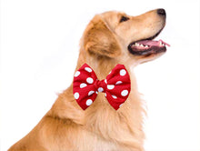 Load image into Gallery viewer, Bow Ties for Dogs: Red and White Polka Dot Fluffy Bow
