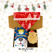 Load image into Gallery viewer, Holiday Box: Assorted Dog Box by For The Fur Kids