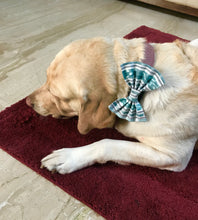 Load image into Gallery viewer, Bow Ties for Dogs: Sambalpuri Ikat Green Bow Tie for Pets