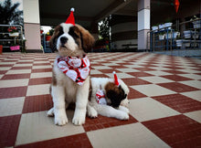 Load image into Gallery viewer, Dog Bandana for Christmas: Santa Claus Bandana for Pets