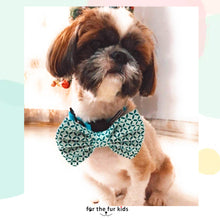 Load image into Gallery viewer, Bow Ties for Dogs: Aqua Green Summer Dog Bowtie