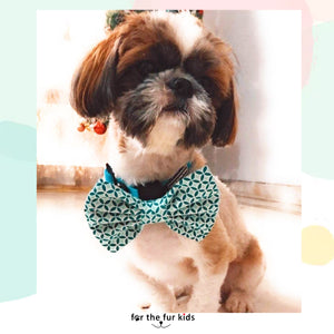 Bow Ties for Dogs: Aqua Green Summer Dog Bowtie