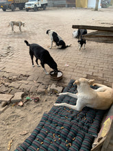 Load image into Gallery viewer, Beds for Stray Dogs
