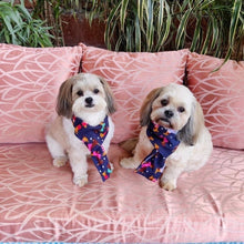 Load image into Gallery viewer, Pet Accessories: The Carnival Muffler for Dogs