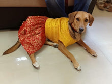 Load image into Gallery viewer, Dog Clothes: Indian Wear Anarkali Dress for Dogs (Yellow and Red)