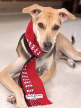Load image into Gallery viewer, Pet Accessories: Traditional Nagaland Stole for Dogs