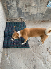 Load image into Gallery viewer, Beds for Stray Dogs