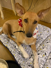 Load image into Gallery viewer, Pet Mats: Snoopy Soft and Durable Pet Mat