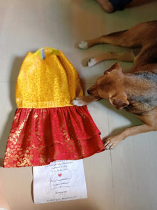 Dog Clothes: Indian Wear Anarkali Dress for Dogs (Yellow and Red)