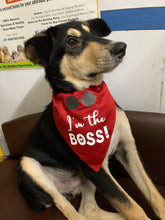 Load image into Gallery viewer, Dog Bandana: I&#39;m The Boss Bandana for Dogs (Red)