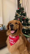 Load image into Gallery viewer, Dog Bandana for Christmas: Holiday Santa Paws Bandana for Pets
