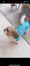 Load image into Gallery viewer, Dog Clothes: Bandhani Sherwani for Dogs