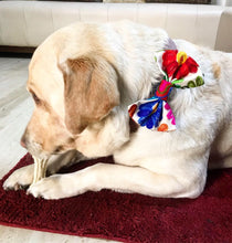 Load image into Gallery viewer, Bow Ties for Dogs: Gujarati Mirror Embroidery Bows