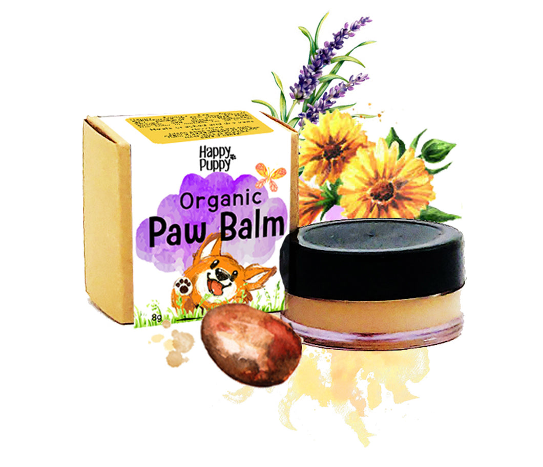 Pet Care: Paw Balm for Dogs