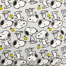 Load image into Gallery viewer, Pet Mats: Snoopy Soft and Durable Pet Mat