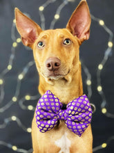 Load image into Gallery viewer, Bow Tie for Pets: Traditional Dog Bow Tie for Diwali, Festivals, Weddings (Purple)